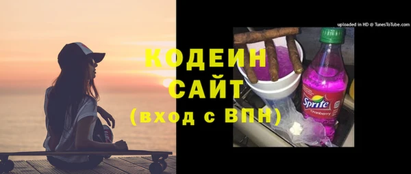 шишки Верхний Тагил