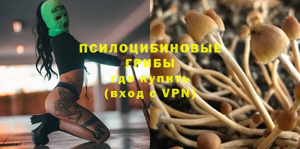 шишки Верхний Тагил