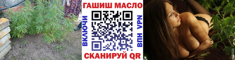как найти закладки  Волоколамск  Дистиллят ТГК гашишное масло 